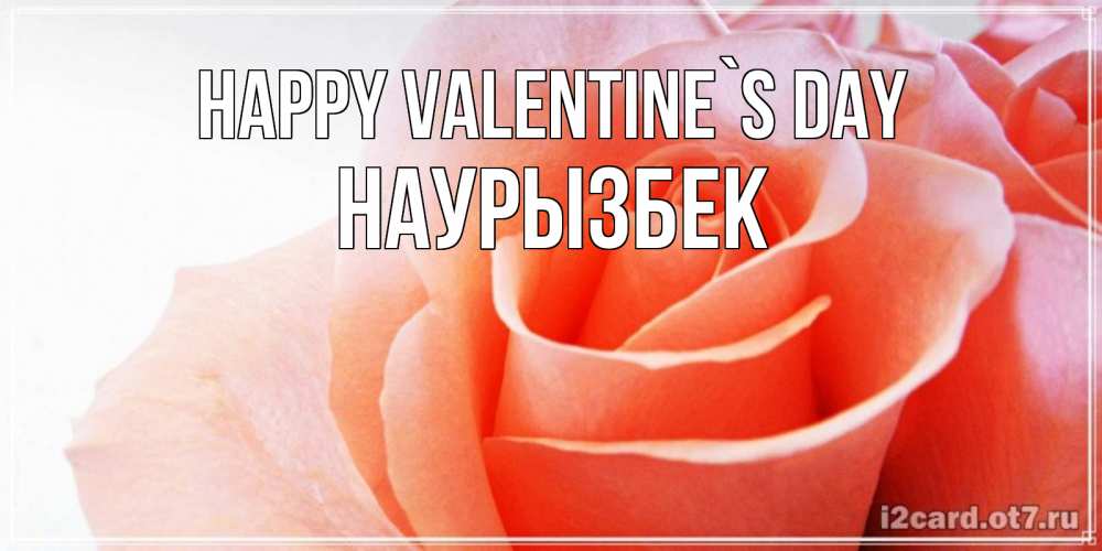 Greetings card с именем, Наурызбек Happy Valentine`s Day открытка на день Святого Валентина с розовой розой Greetings with text for free download 